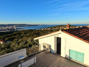 House among olive trees with a sea view 1